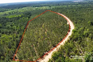 1045 McQueen Rd, Patrick, SC 29584 - Photo 1