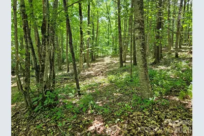 0 Serenity Mountain Road #108, Waynesville, NC 28786 - Photo 23