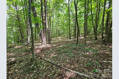 0 Serenity Mountain Road #108, Waynesville, NC 28786 - Photo 29
