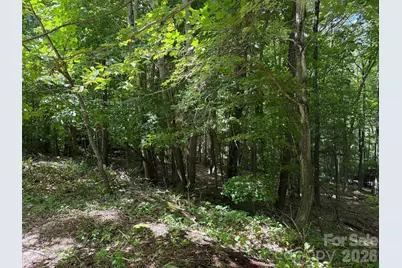 0 Serenity Mountain Road #108, Waynesville, NC 28786 - Photo 7