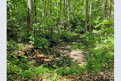 0 Serenity Mountain Road #108, Waynesville, NC 28786 - Photo 25