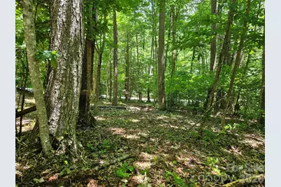 0 Serenity Mountain Road #108, Waynesville, NC 28786 - Photo 19