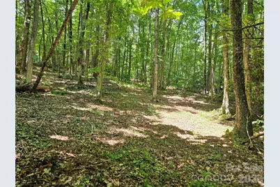 0 Serenity Mountain Road #108, Waynesville, NC 28786 - Photo 21