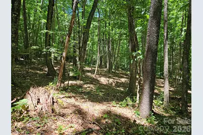0 Serenity Mountain Road #108, Waynesville, NC 28786 - Photo 17