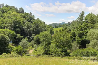 435 Mountain Cove Road, Marshall, NC 28753 - Photo 7