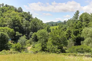 435 Mountain Cv Rd, Marshall, NC 28753 - Photo 7