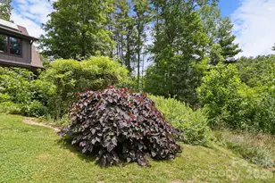 24 Merriwood Trail, Arden, NC 28704 - Photo 41