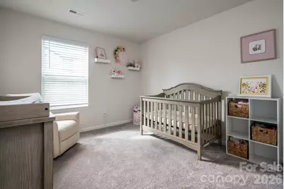 162 Wheatfield Road, Fletcher, NC 28732 - Photo 19