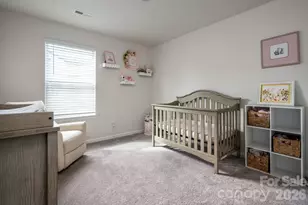 162 Wheatfield Rd, Fletcher, NC 28732 - Photo 19