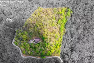 1602 Forest Run Rd, Whittier, NC 28789 - Photo 7