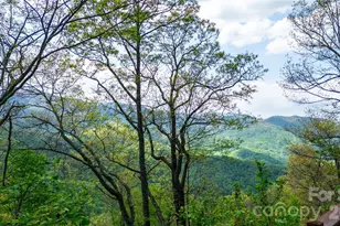 1602 Forest Run Rd, Whittier, NC 28789 - Photo 11
