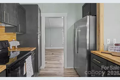 1011 Reed Street, Woodfin, NC 28804 - Photo 15