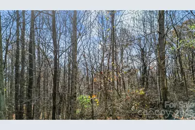 10 Peacock Lane #19, Burnsville, NC 28714 - Photo 13
