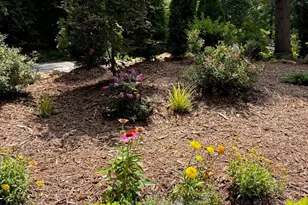 78 Tupper Rd, Black Mountain, NC 28711 - Photo 39