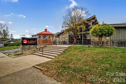10 Benedict Lane, Weaverville, NC 28787 - Photo 35