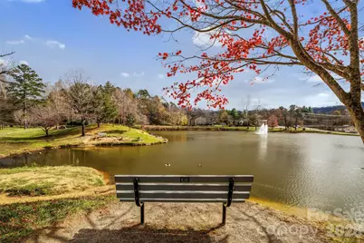 10 Benedict Lane, Weaverville, NC 28787 - Photo 27