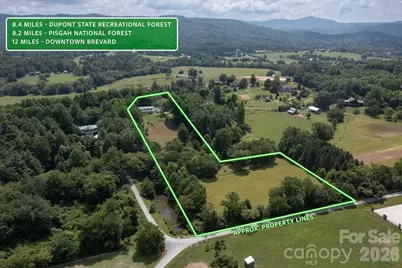 293 Sun Meadow Lane, Pisgah Forest, NC 28768 - Photo 47