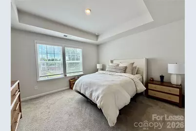 7008 Running Spring Drive #7008, Charlotte, NC 28205 - Photo 19