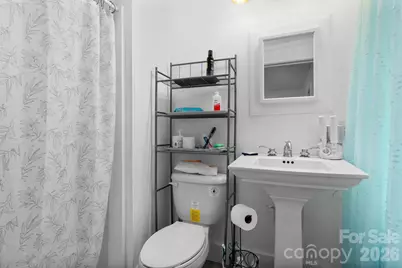 389 Rollins Road, Marshall, NC 28753 - Photo 25
