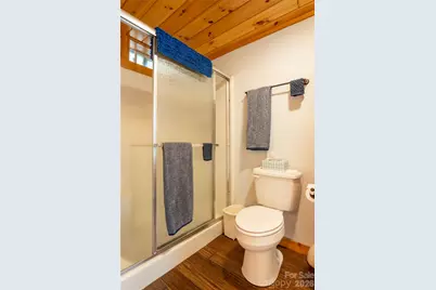 700 Howard Drive, Lake Lure, NC 28746 - Photo 19