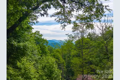 903 Plott Balsam Road, Maggie Valley, NC 28751 - Photo 19
