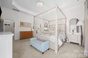 15108 Alijon Ct, Charlotte, NC 28278 - Photo 19