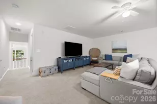 15108 Alijon Ct, Charlotte, NC 28278 - Photo 29