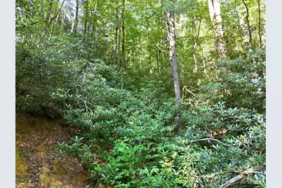 17 Sunny Morning Court, Hendersonville, NC 28792 - Photo 9