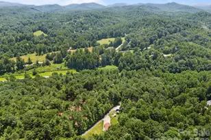 54 Thad Johnson Rd, Saluda, NC 28773 - Photo 45