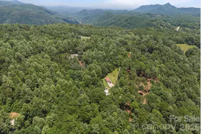 54 Thad Johnson Road, Saluda, NC 28773 - Photo 43