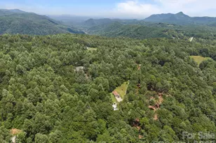 54 Thad Johnson Rd, Saluda, NC 28773 - Photo 43