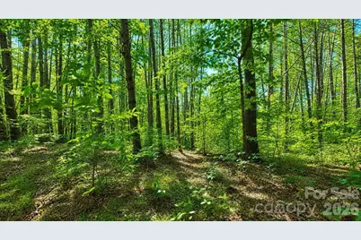 Cb17 Emerald Court #CB17, Lenoir, NC 28634 - Photo 7