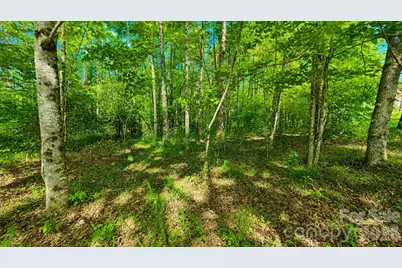 Cb17 Emerald Court #CB17, Lenoir, NC 28634 - Photo 3
