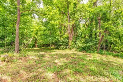 14 High Valley Estates Drive, Alexander, NC 28701 - Photo 37