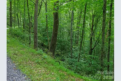 000 Hamlet Drive #1, Burnsville, NC 28714 - Photo 7