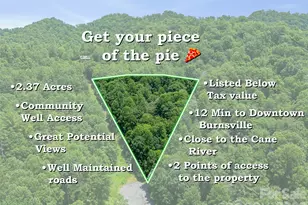 000 Hamlet Dr, Burnsville, NC 28714 - Photo 1