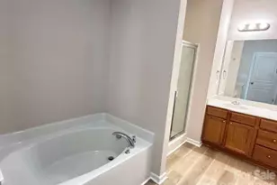 18001 Delmas Dr, Cornelius, NC 28031 - Photo 13