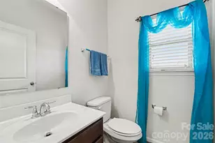 155 Saye Pl, Mooresville, NC 28115 - Photo 11