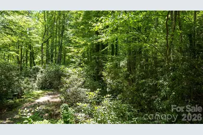 305 Melanie Lane, Black Mountain, NC 28711 - Photo 21