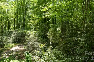 305 Melanie Ln, Black Mountain, NC 28711 - Photo 21
