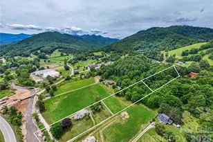 16 Riverside Dr, Barnardsville, NC 28709 - Photo 27