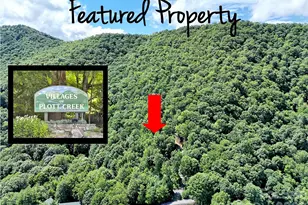 00 Rising Sun Rd, Waynesville, NC 28786 - Photo 1