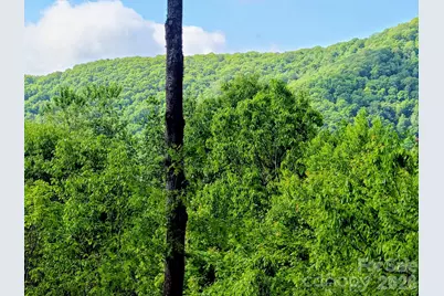 00 Rising Sun Road #338, Waynesville, NC 28786 - Photo 9