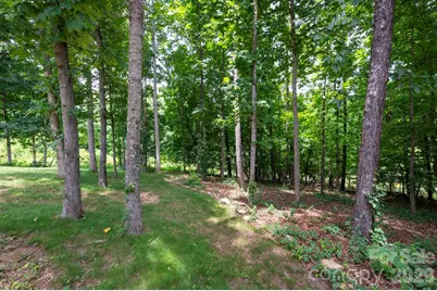 58 Shuler Road, Candler, NC 28715 - Photo 25
