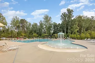 315 Bulrush Rd, Clover, SC 29710 - Photo 41