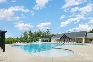 315 Bulrush Rd, Clover, SC 29710 - Photo 35