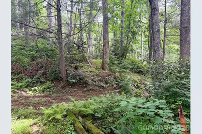 106 Flora Lina Drive, Brevard, NC 28712 - Photo 9