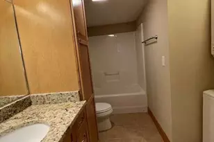 260 Bull Crk Rd, Asheville, NC 28805 - Photo 29