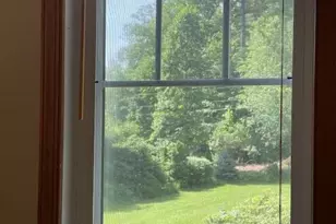 260 Bull Crk Rd, Asheville, NC 28805 - Photo 25