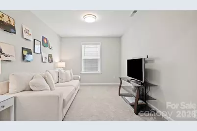 229 Batten Ridge Drive, Statesville, NC 28677 - Photo 19